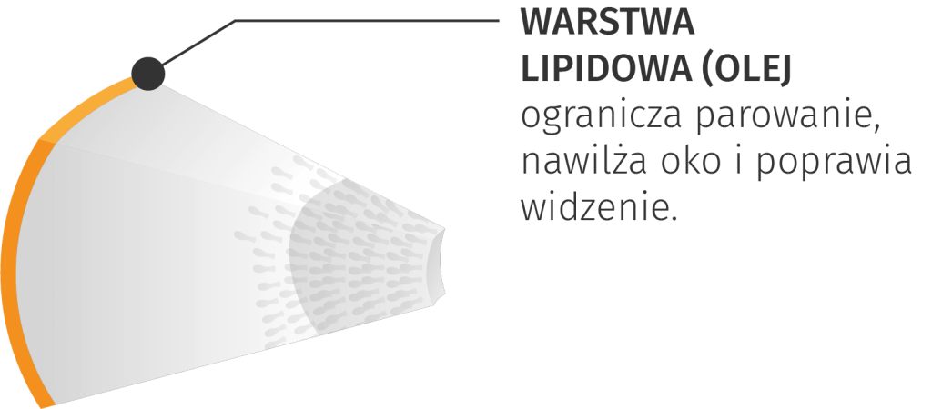 interferometria-warstwowa-meibografia-mruganie