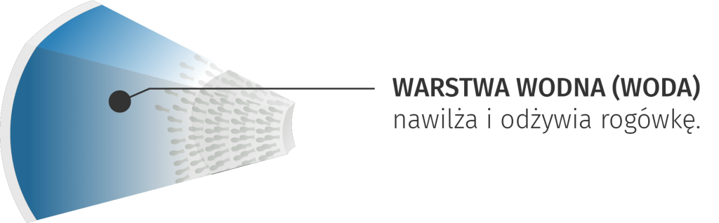 warstwa-łza-menisk